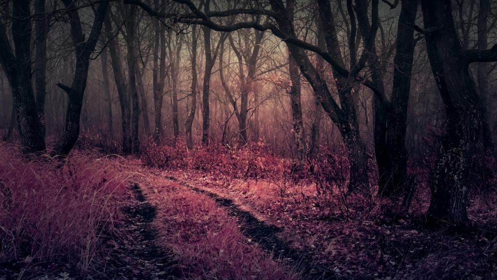 Twilight Whisper in the Misty Forest wallpaper
