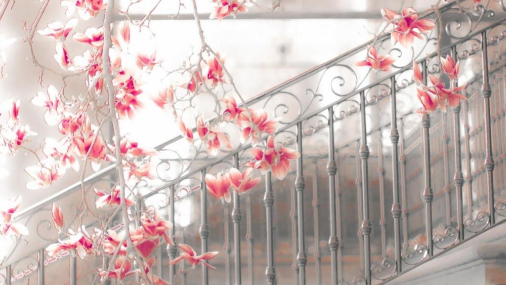 Spring Blossoms on Staircase wallpaper