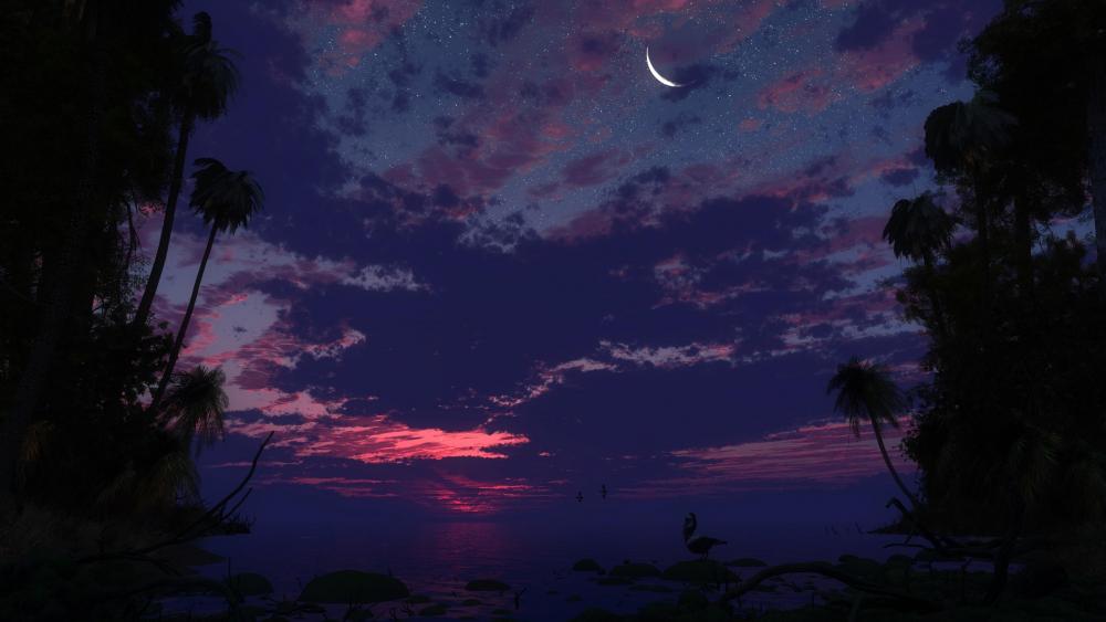 Tropical Night Sky Serenity wallpaper