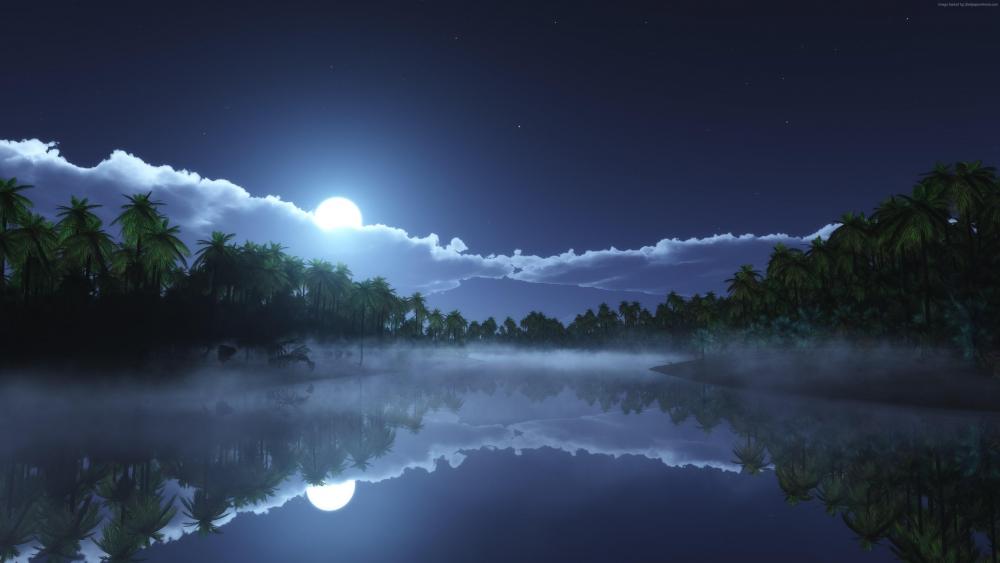 Tropical night reflection wallpaper