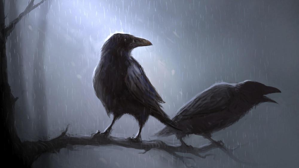 Mysterious Ravens in the Rainy Night wallpaper