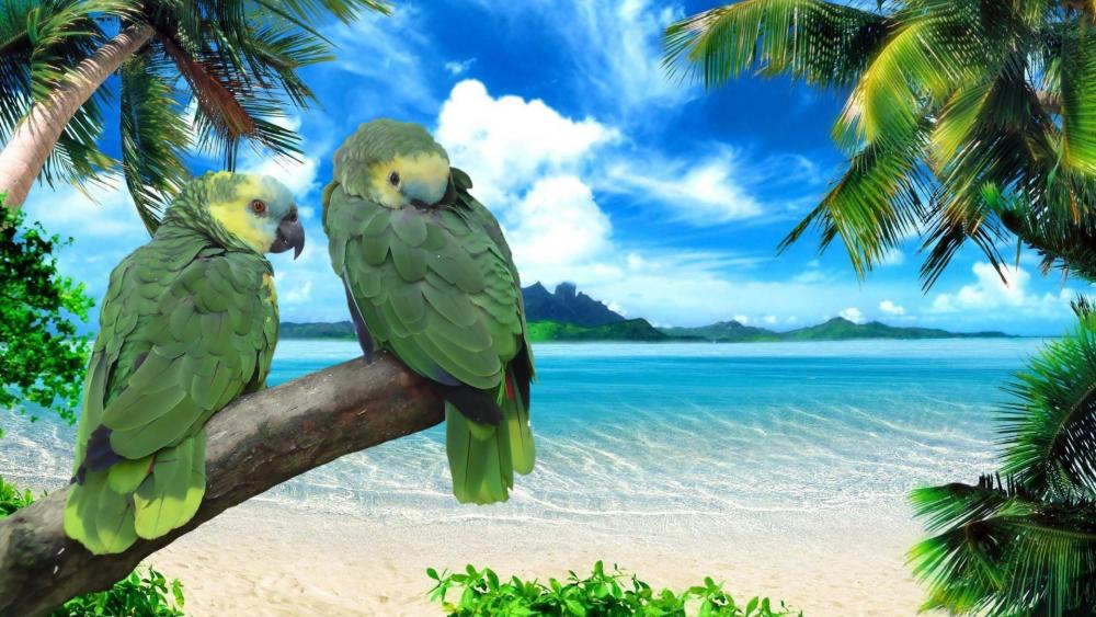 Parrots in Paradise: Tropical Beach Elegance wallpaper