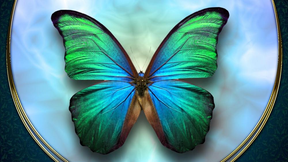 Ethereal Teal Butterfly on Elegant Display wallpaper