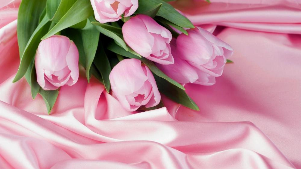 Pink tulip bouquet wallpaper