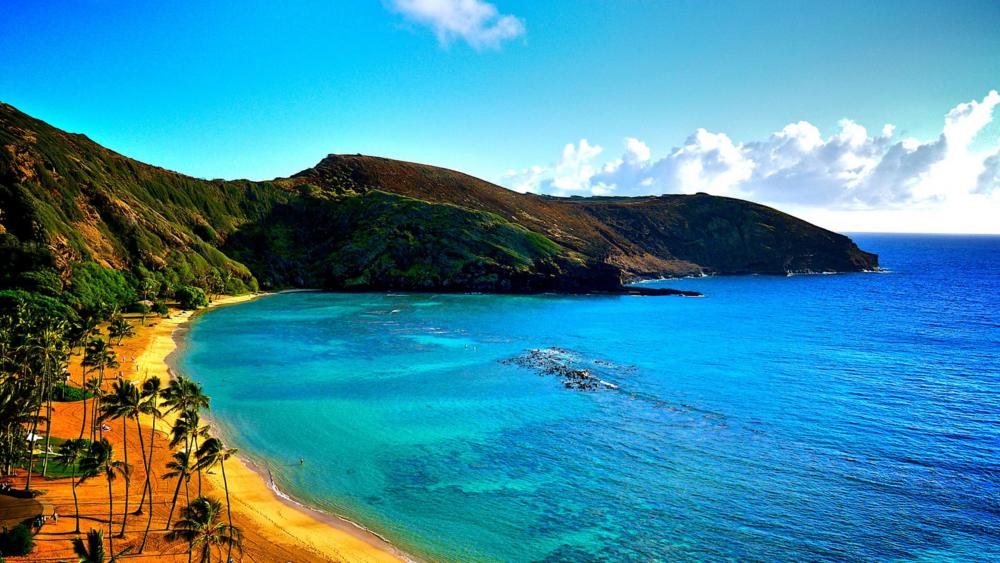 Hawaii coastline wallpaper