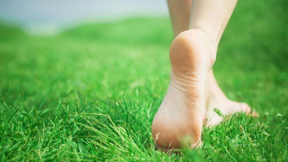 Feet in the soft grass wallpaper