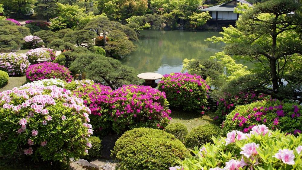Blooming Japanese garden wallpaper