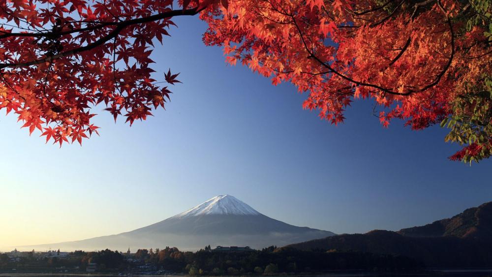 Japan - Mount Fuji landscape ️ wallpaper