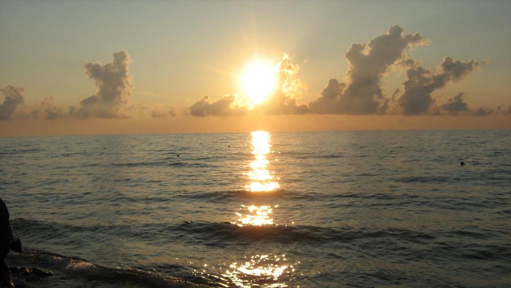 Golden Horizon at Sunset wallpaper