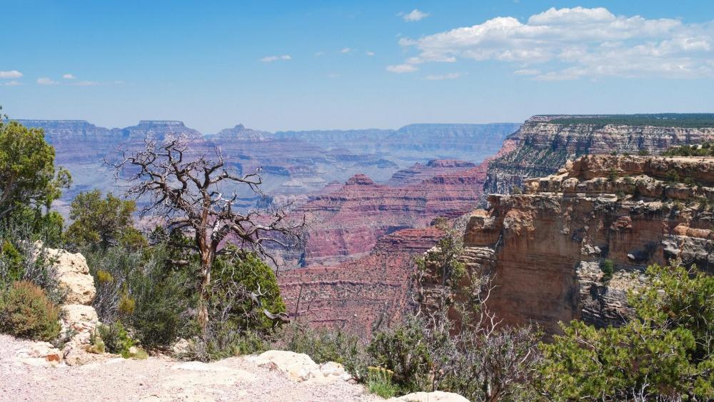 Grand Canyon National Park - USA wallpaper