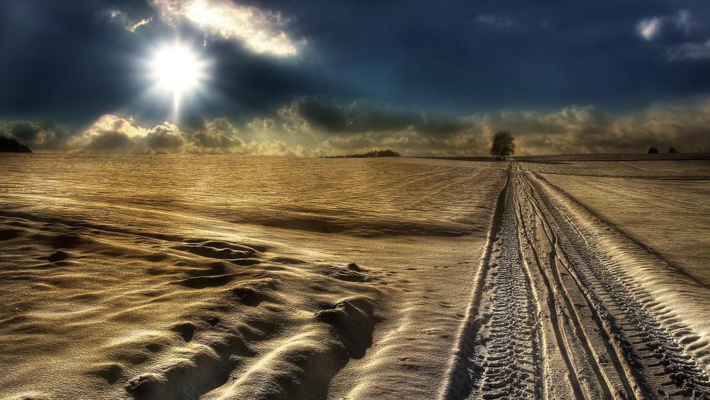 Winter sunlight over the snowfield ❄️☀️ wallpaper