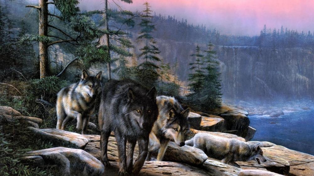 Gray wolf painting art wallpaper