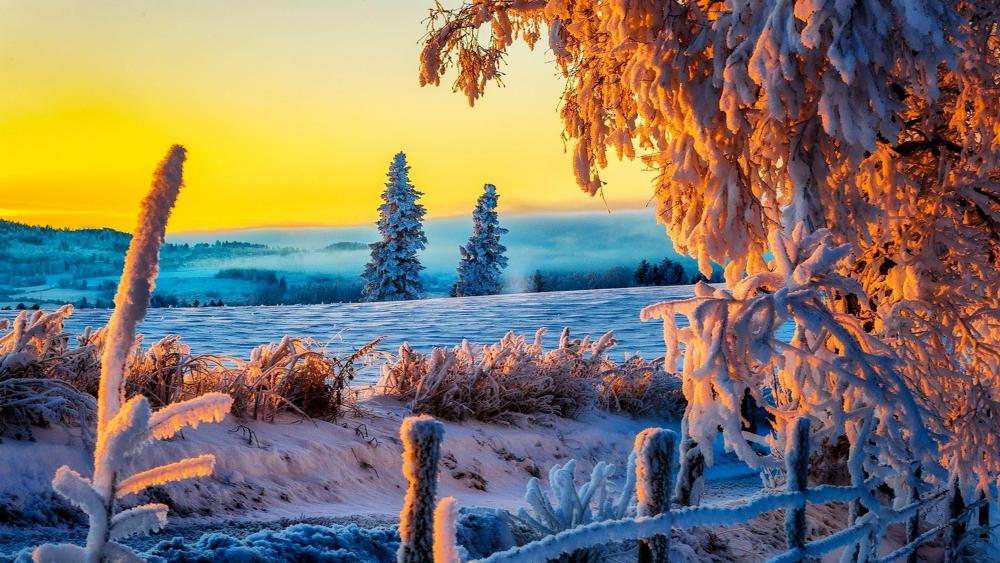 Amazing winter sunset ❄️☀️ wallpaper