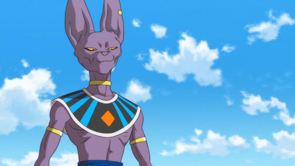 Lord Beerus wallpaper