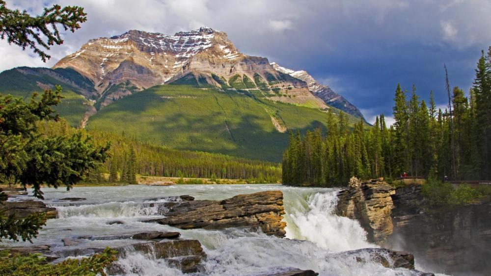 Athabasca Falls in the Jasper National Park wallpaper