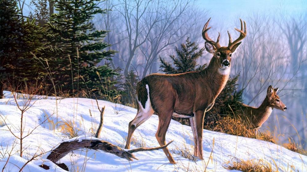 White-tailed deer painting wallpaper