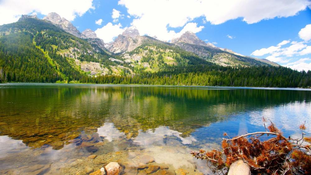 Bradley Lake, Grand Teton National Park wallpaper