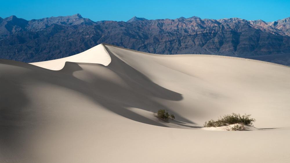 Mesquite Flat Sand Dunes -  Death Valley National Park, California, United States wallpaper