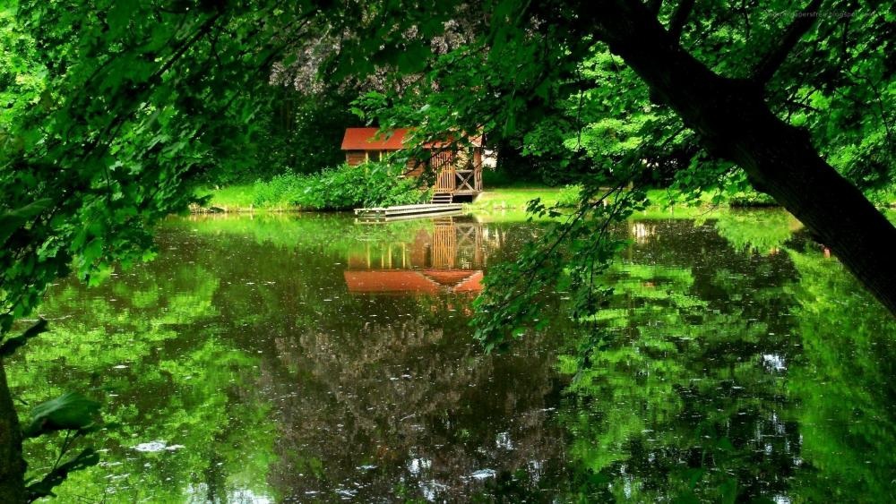 Chalet at the pond wallpaper
