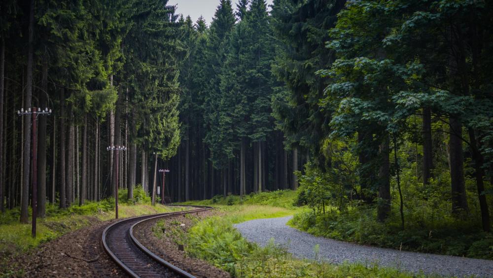 Train tracks in the forest wallpaper