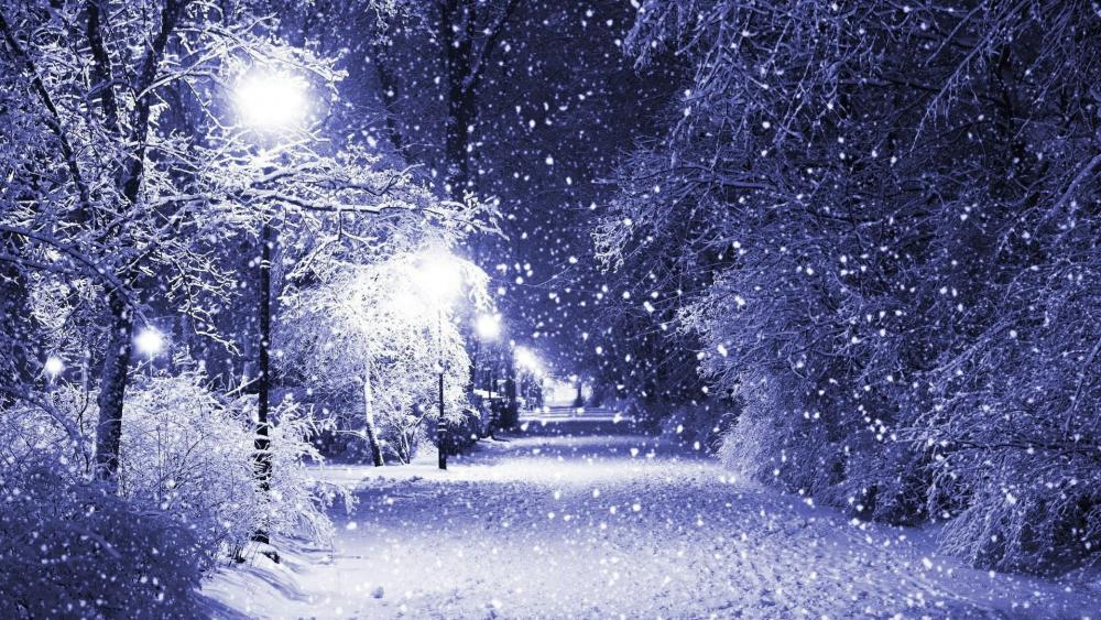 Snowing in the park wallpaper