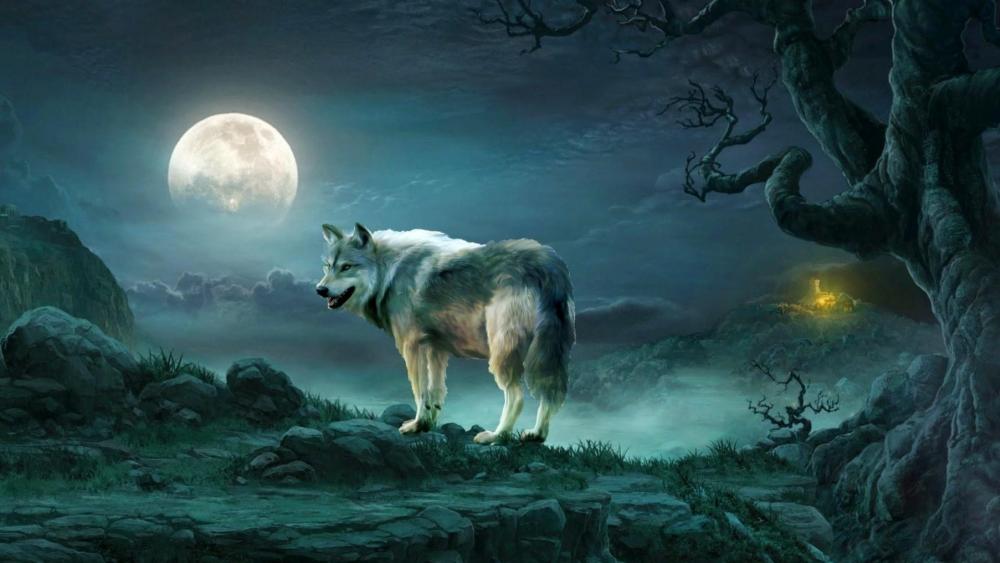 Wolf under the full moon - Fantasy art wallpaper