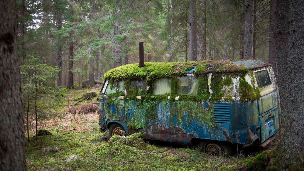 Mossy old Volkswagen in the forest wallpaper