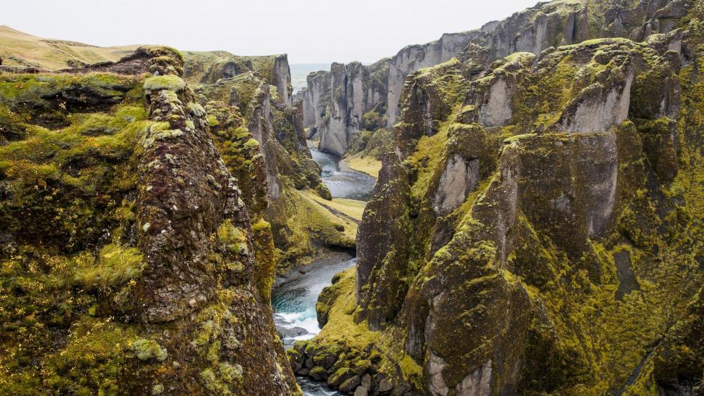 Fjaðrárgljúfur canyon - Iceland wallpaper