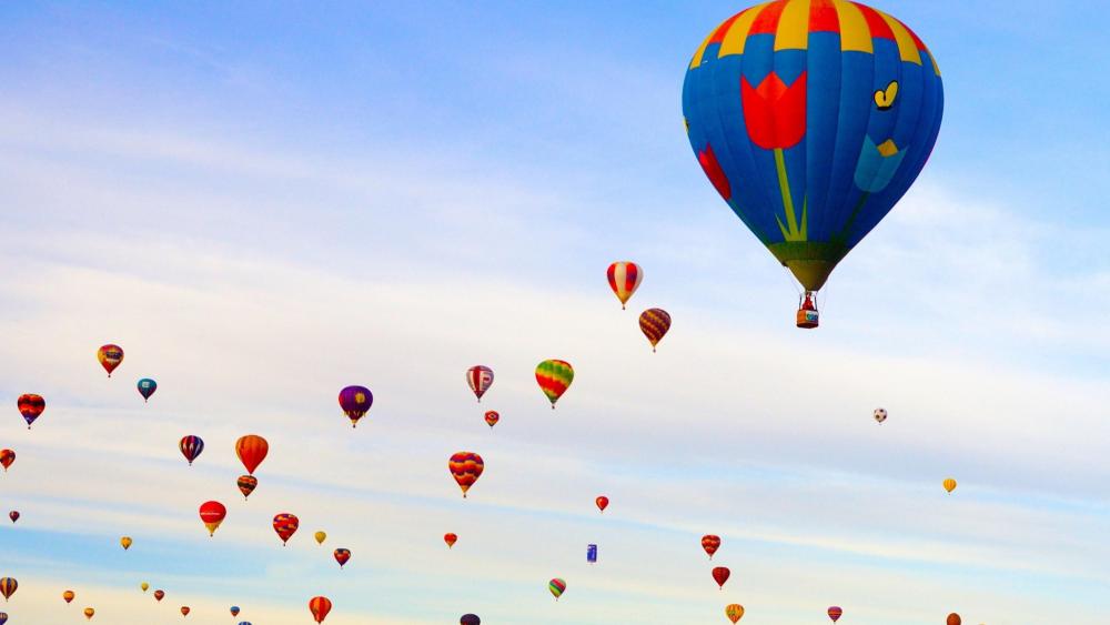 Hot air balloons on the sky wallpaper
