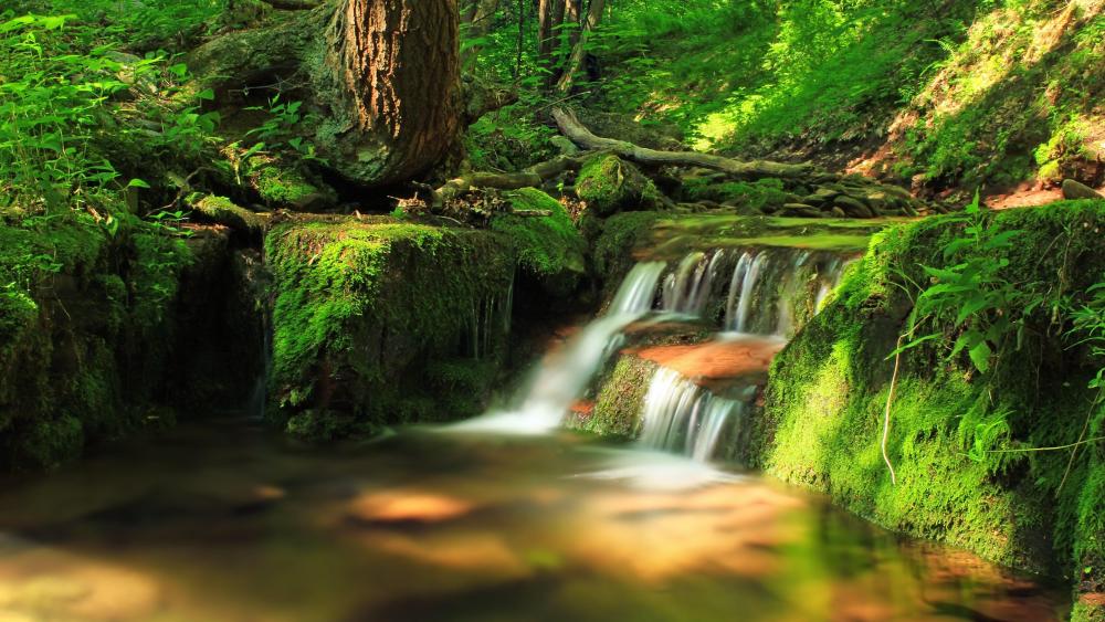 Mountain stream waterfall among the mossy stones wallpaper