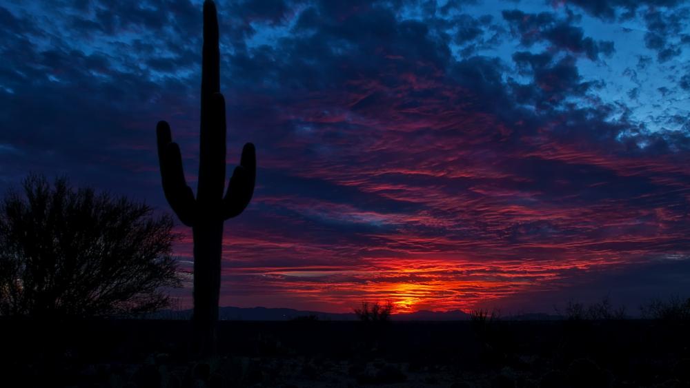 Sunset in Tucson, Arizona wallpaper