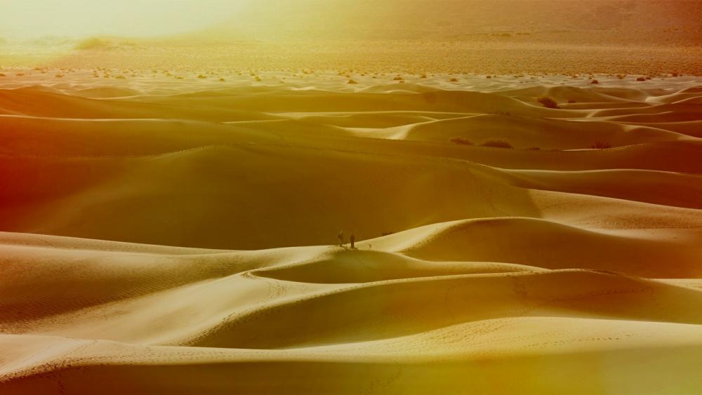 Sand dunes in the desert wallpaper