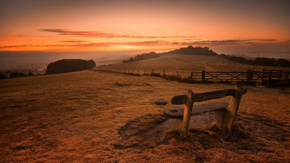 Lonely bench in the field at the sunrise wallpaper