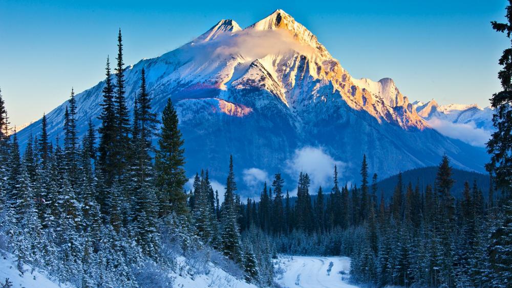 Snowy Canadian Rockies wallpaper