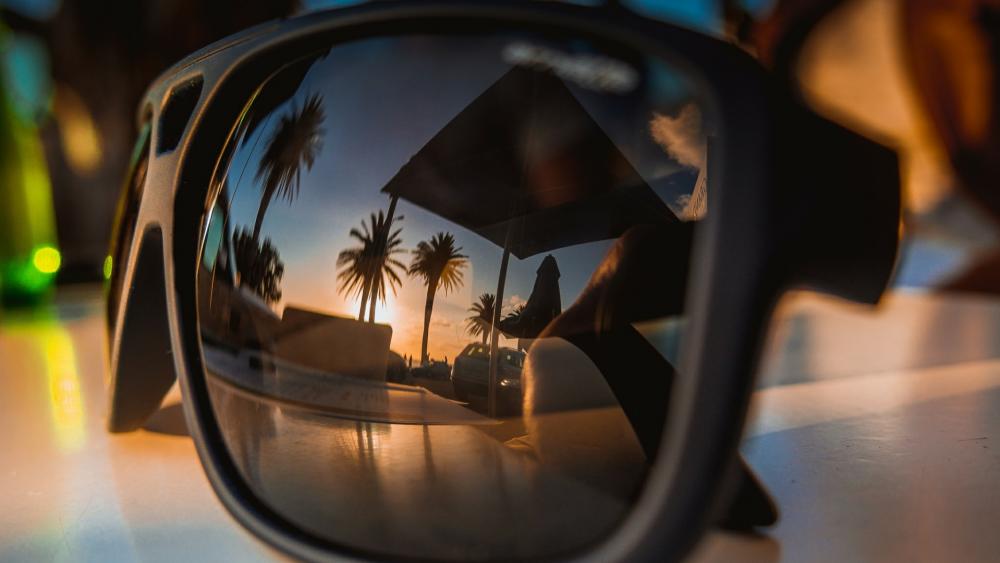 Palm trees reflected in the sunglasses wallpaper