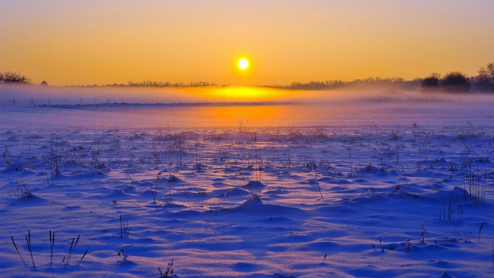 Sunrise at the snowfield wallpaper