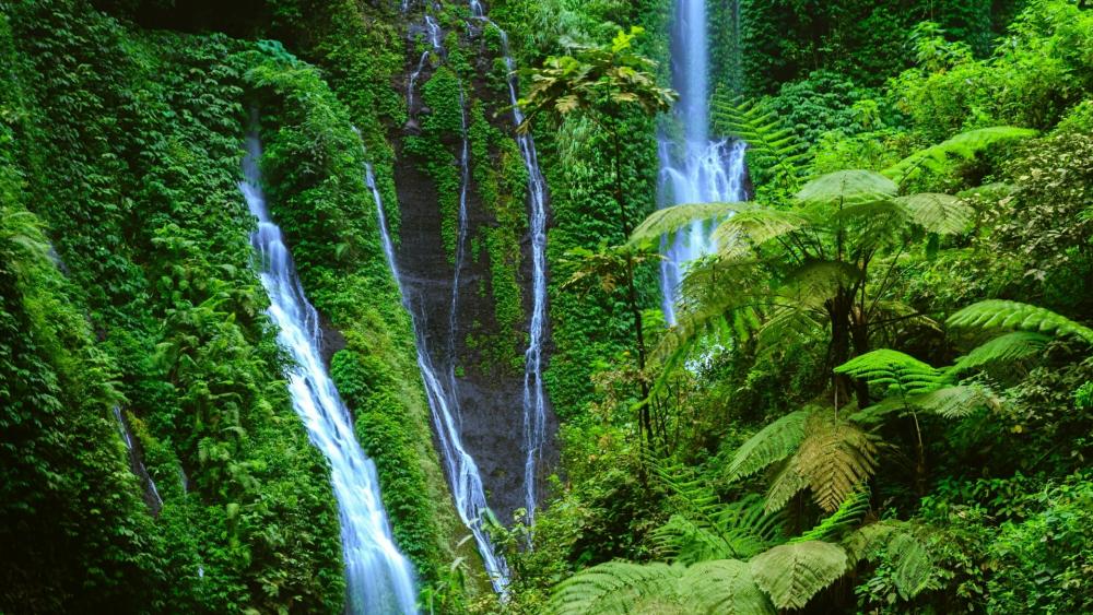 Madakaripura Waterfall - Bromo Tengger Semeru National Park, Indonesia wallpaper