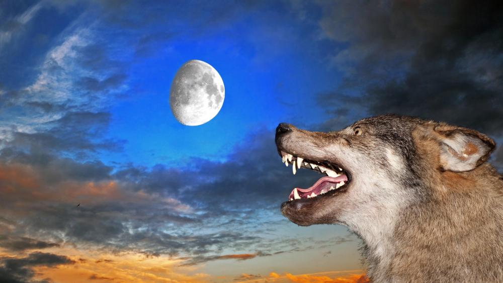 Wolf with the moon wallpaper