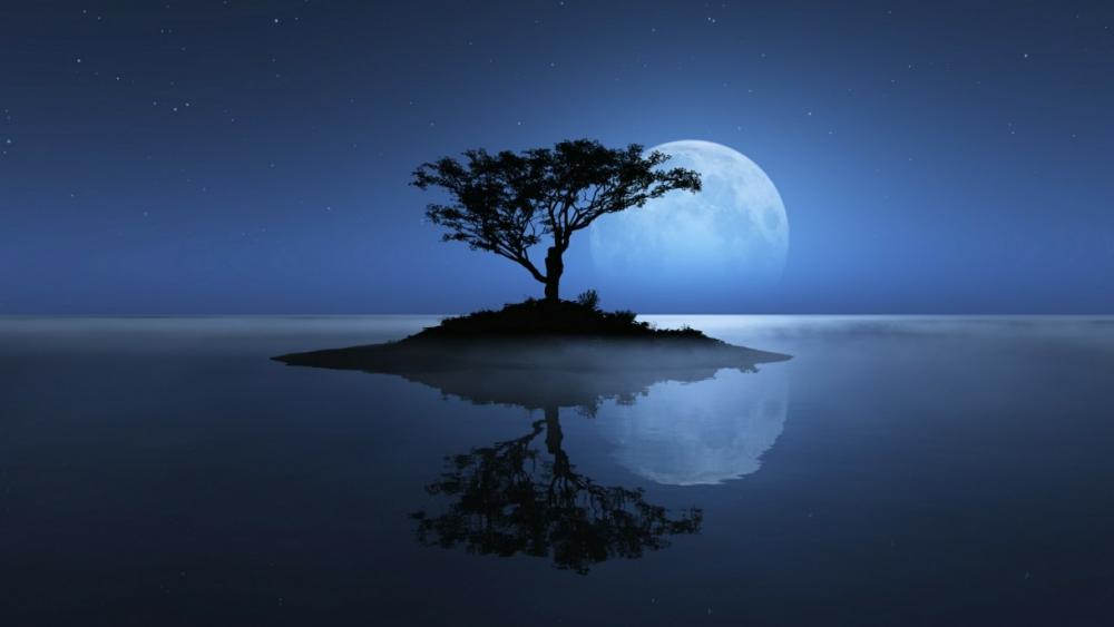 Lone tree with the full moon reflected in the night lake wallpaper