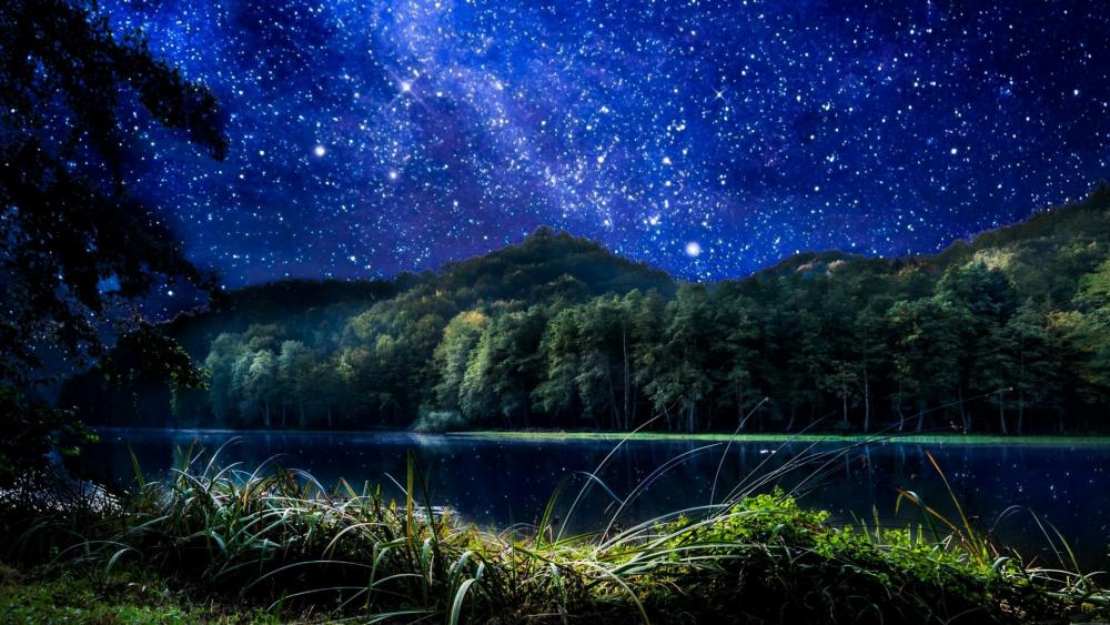 Starry night sky above the lake wallpaper