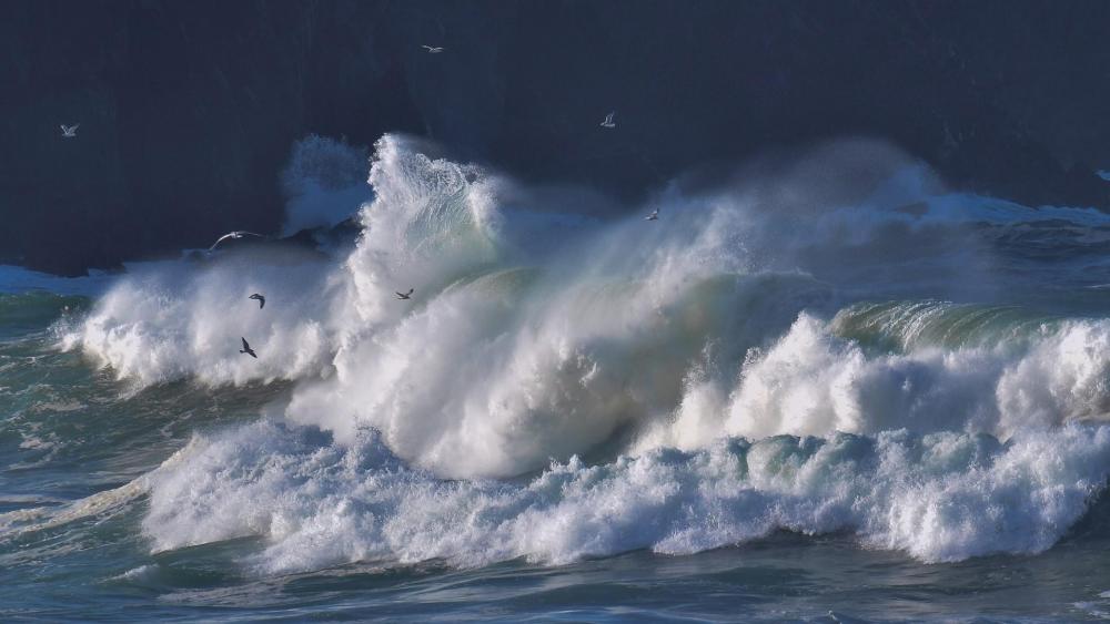 Seagulls over the huge ocean wave wallpaper