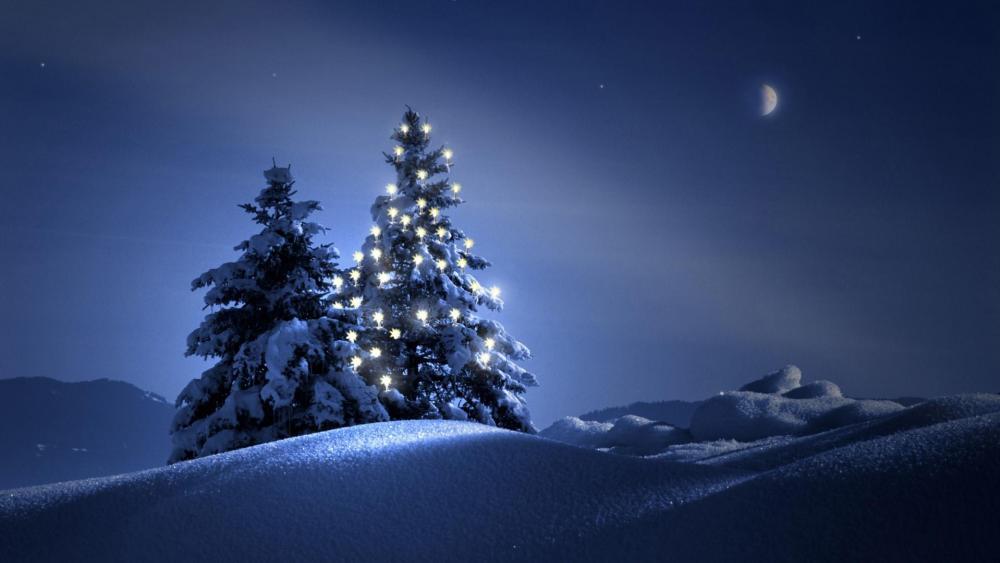Christmas tree in the snow at night wallpaper