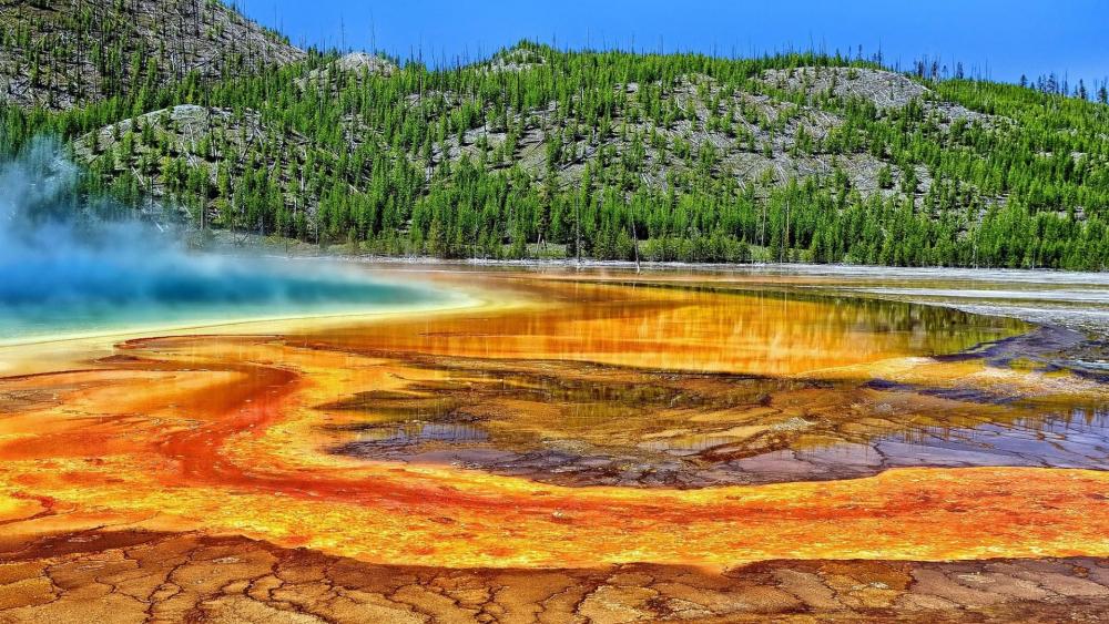 Grand Prismatic Spring - Yellowstone National Park wallpaper
