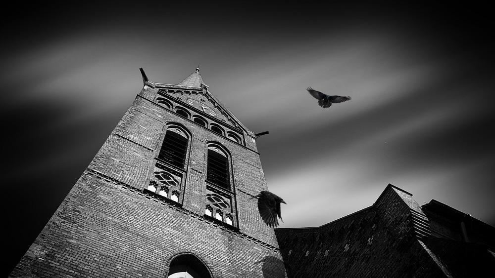 Creepy and haunted tower with ravens wallpaper