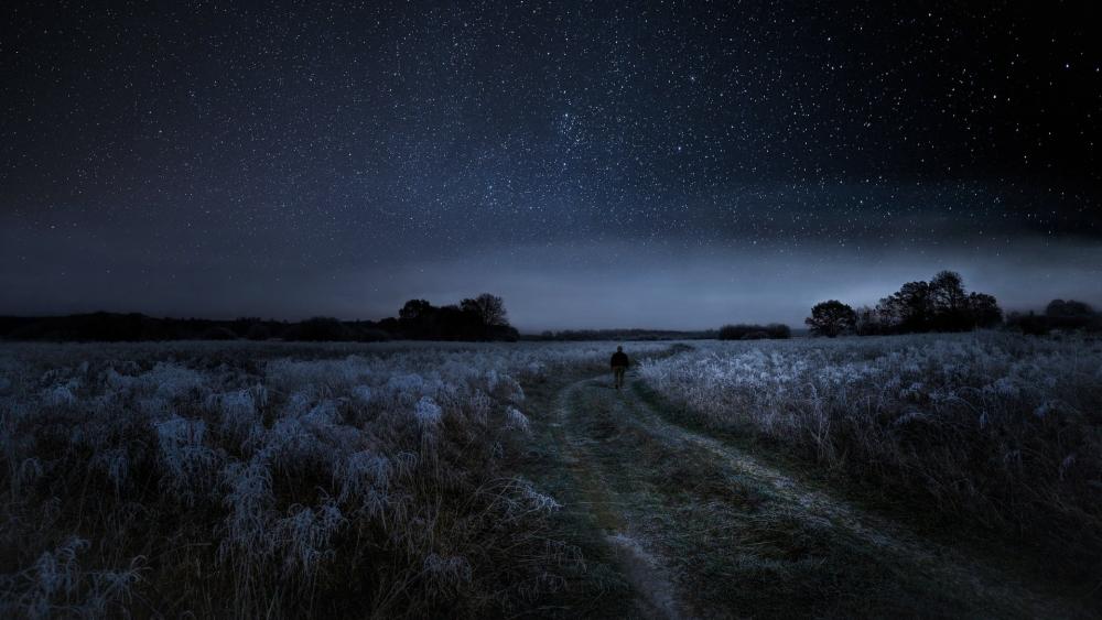 Rural frosty pathway under the starry sky wallpaper