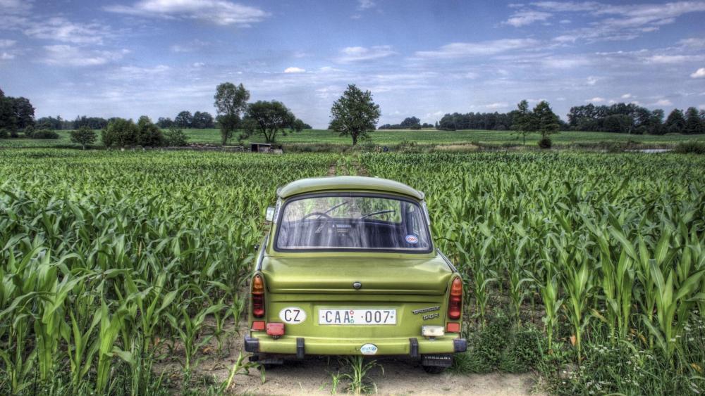 Trabant in the cornfield wallpaper