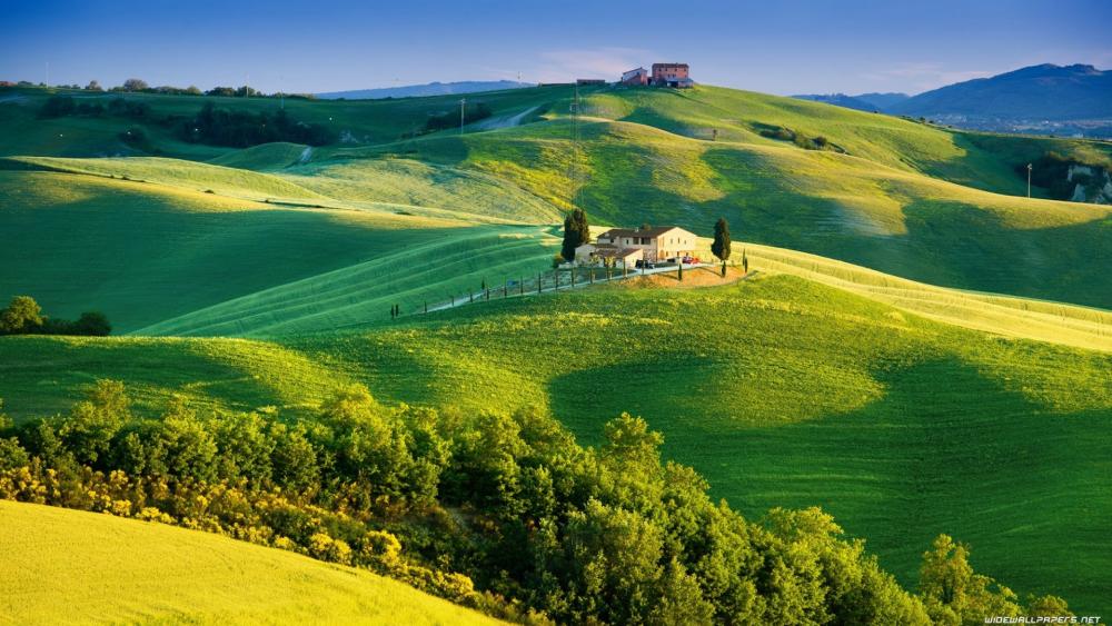 Rolling green hills of Tuscany, Italy wallpaper