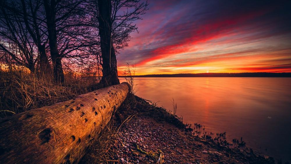 Sunset at Curonian Lagoon, Kursiu Nerija National Park, Lithuania wallpaper