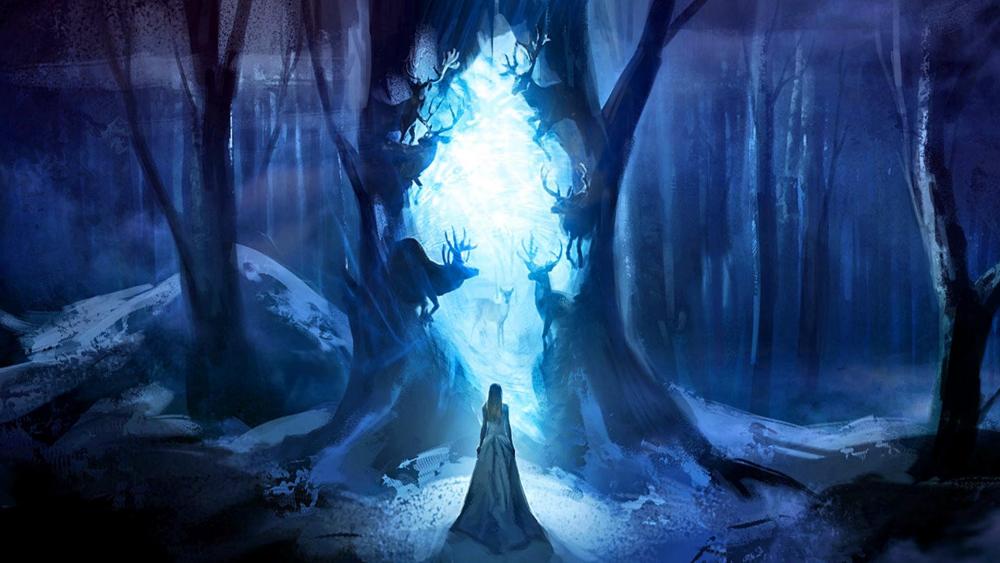 Magic forest - Fantasy art wallpaper