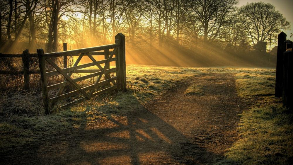 Rays of sun dancing on the farm fence wallpaper